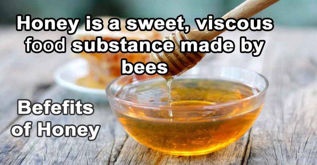 What is honey and what are the 10 Benefits honey