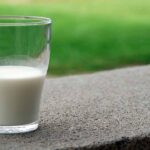 Lactose free milk